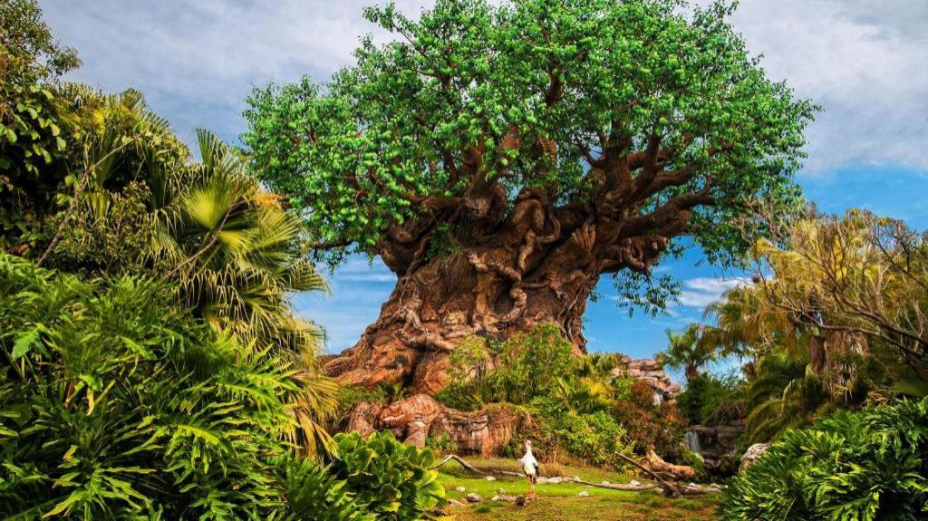 Four Corners Disney'S Animal Kingdom Lodge מראה חיצוני תמונה