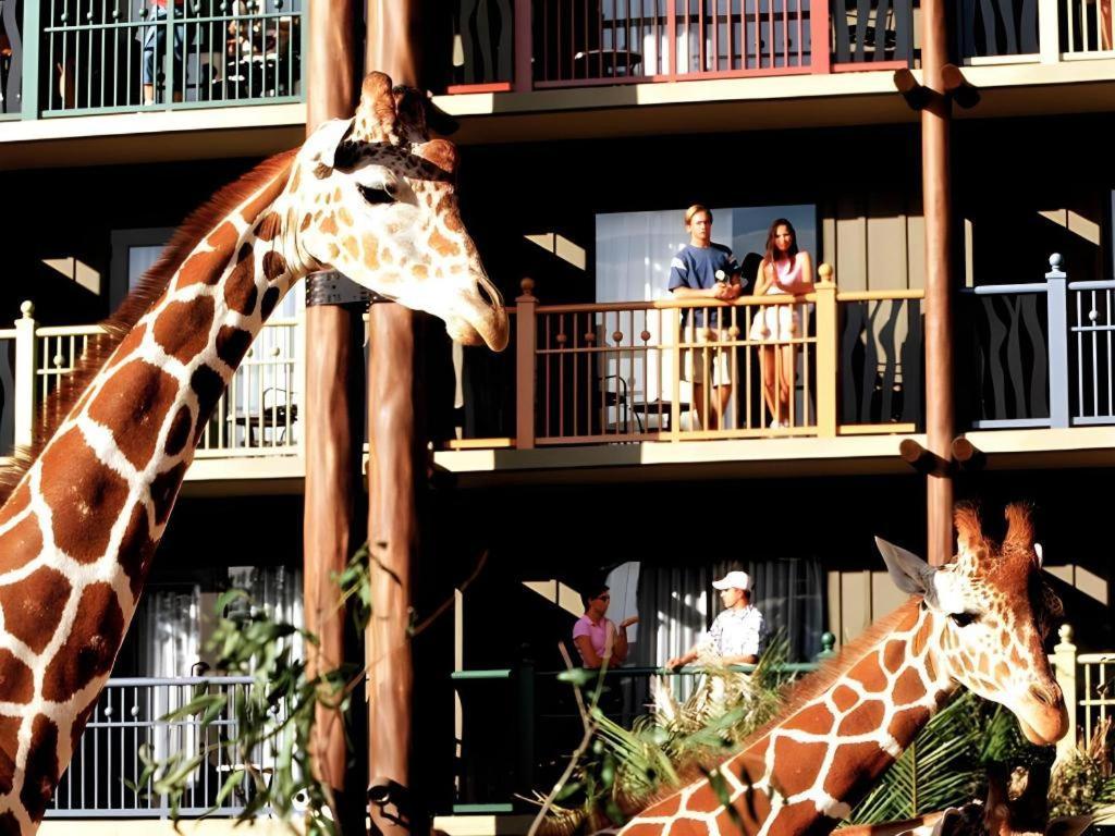 Four Corners Disney'S Animal Kingdom Lodge מראה חיצוני תמונה