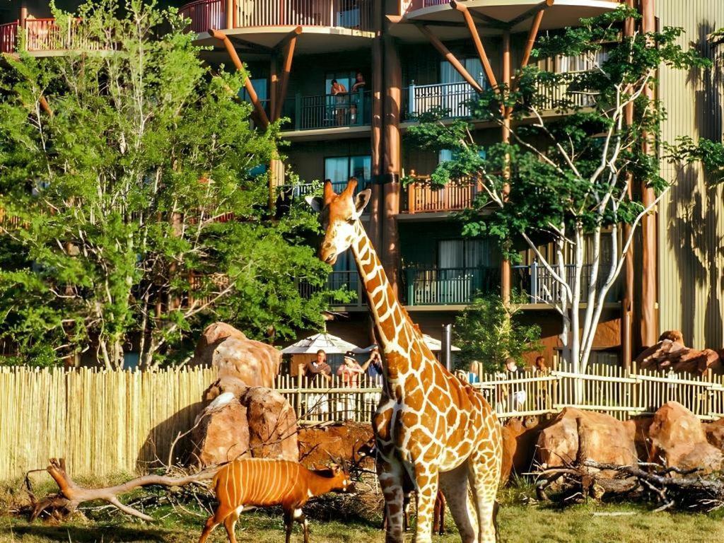 Four Corners Disney'S Animal Kingdom Lodge מראה חיצוני תמונה