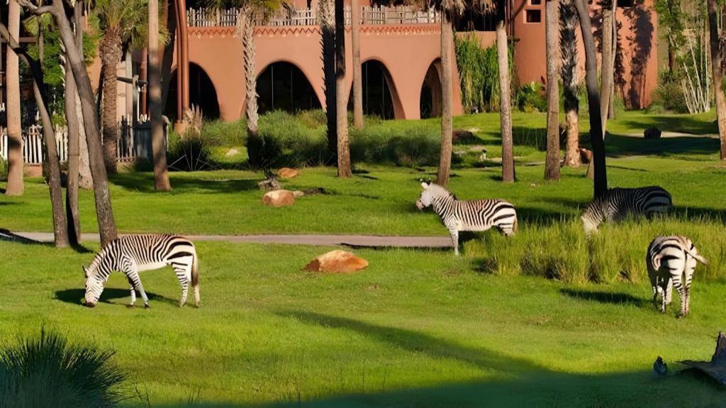 Four Corners Disney'S Animal Kingdom Lodge מראה חיצוני תמונה